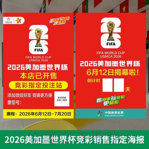 世界杯投注深度解读：从入口信息到实用攻略